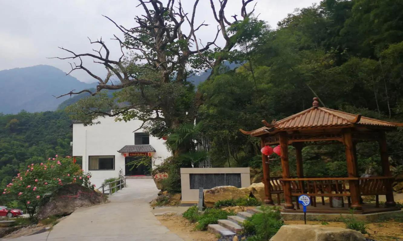 心系百姓办实事 ---玉山县怀玉乡党委书记叶春文纪实 - 新参考在线